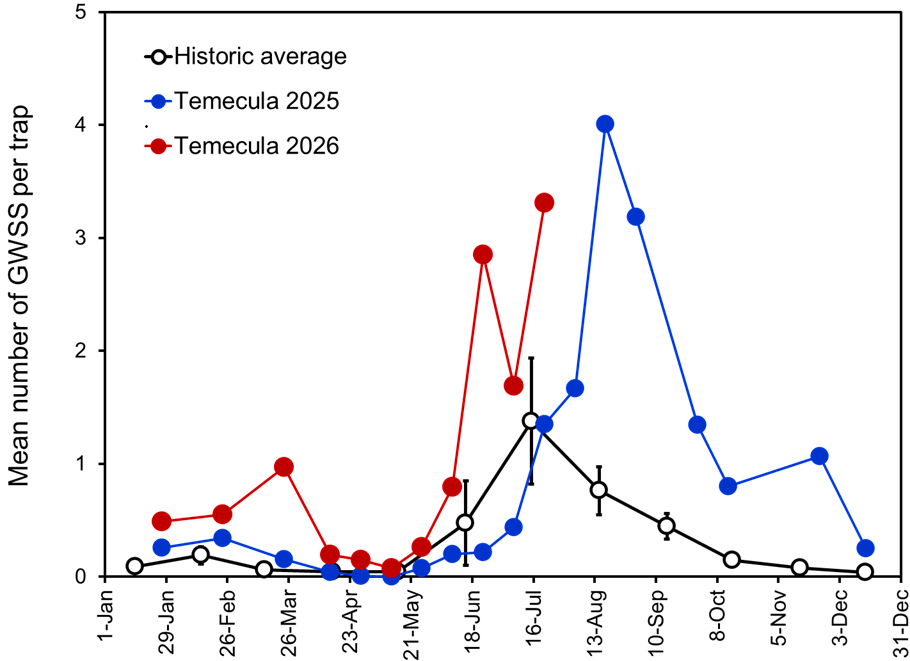 Seasonal counts of GWSS collected on traps in the Temecula Valley