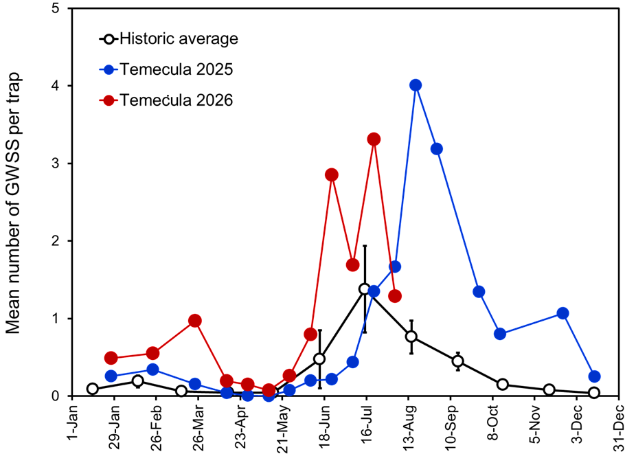 Seasonal counts of GWSS collected on traps in the Temecula Valley