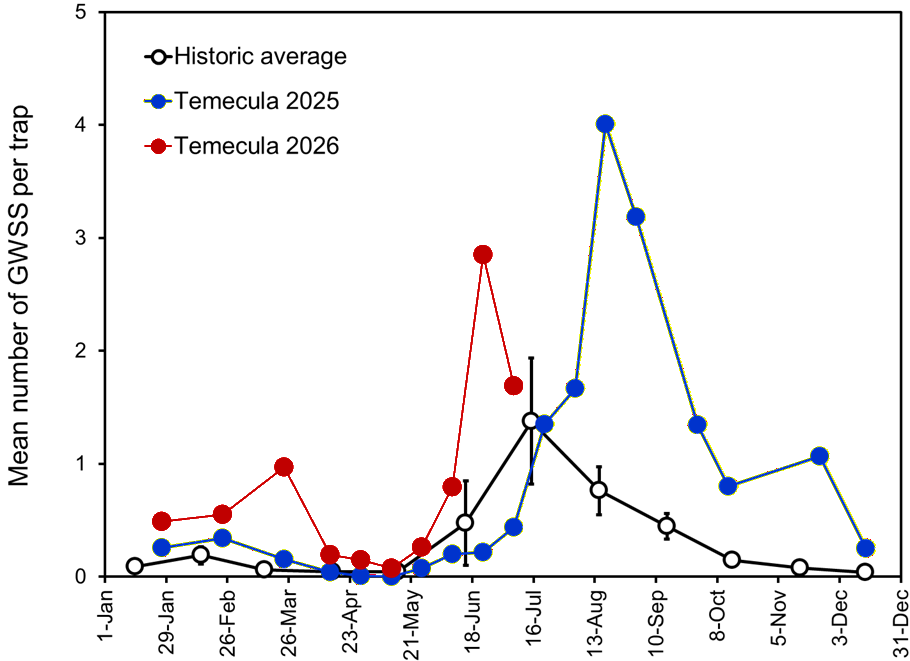 Seasonal counts of GWSS collected on traps in the Temecula Valley