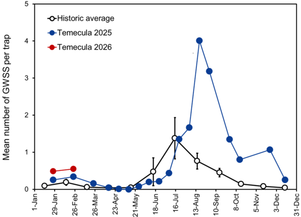 Seasonal counts of GWSS collected on traps in the Temecula Valley