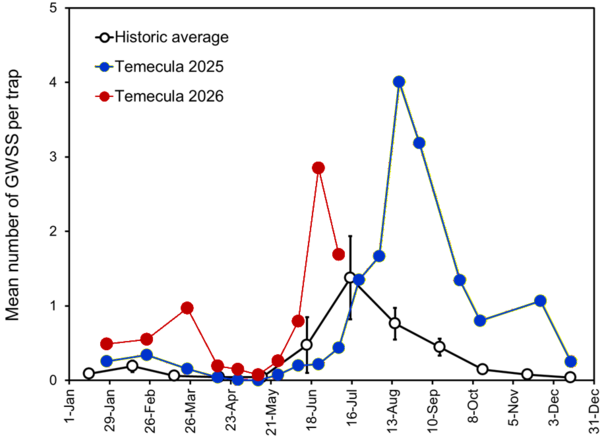 Seasonal counts of GWSS collected on traps in the Temecula Valley
