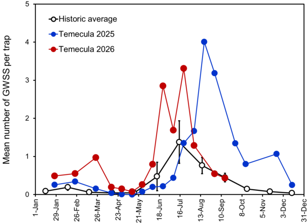 Seasonal counts of GWSS collected on traps in the Temecula Valley